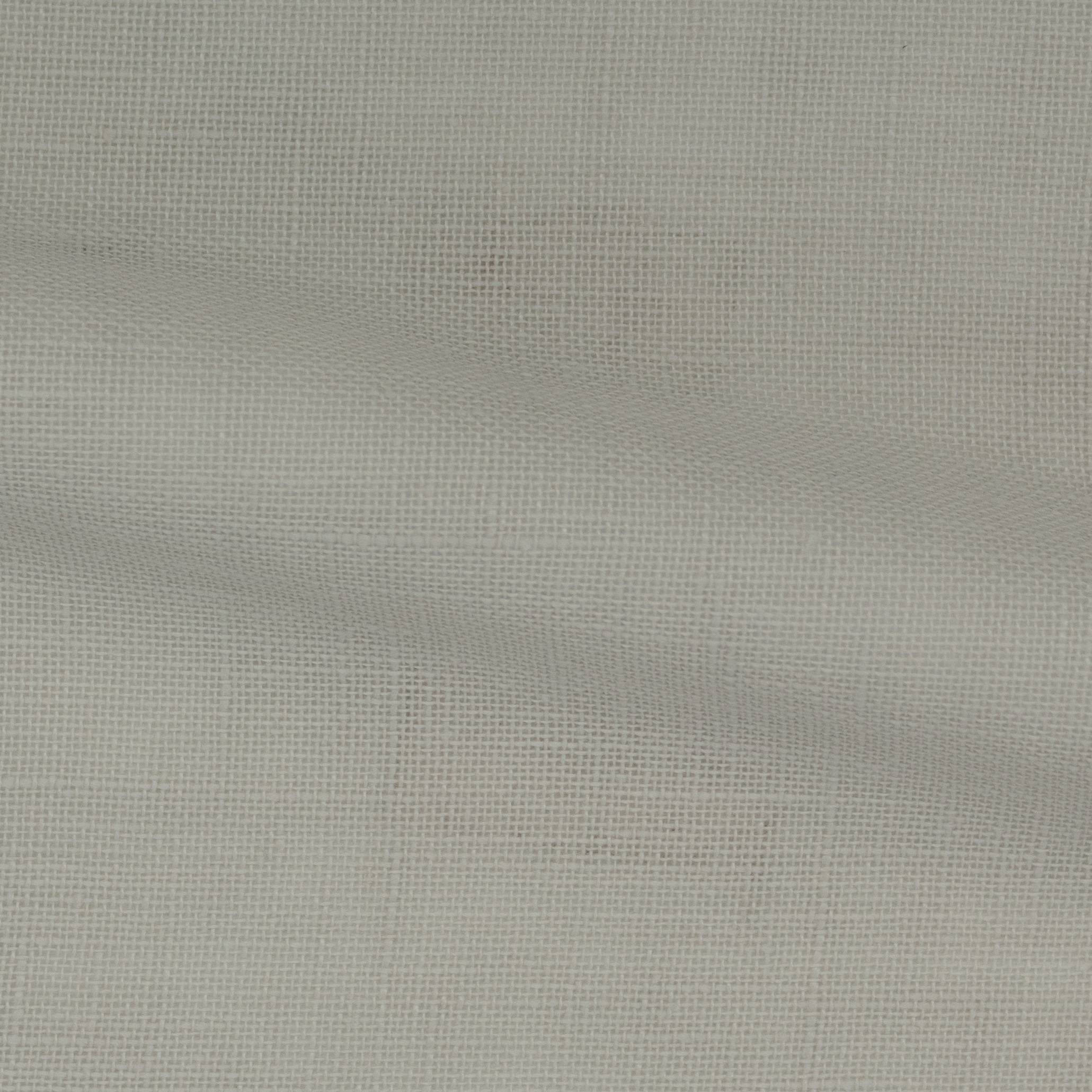 Safari-FR-Cream-224508