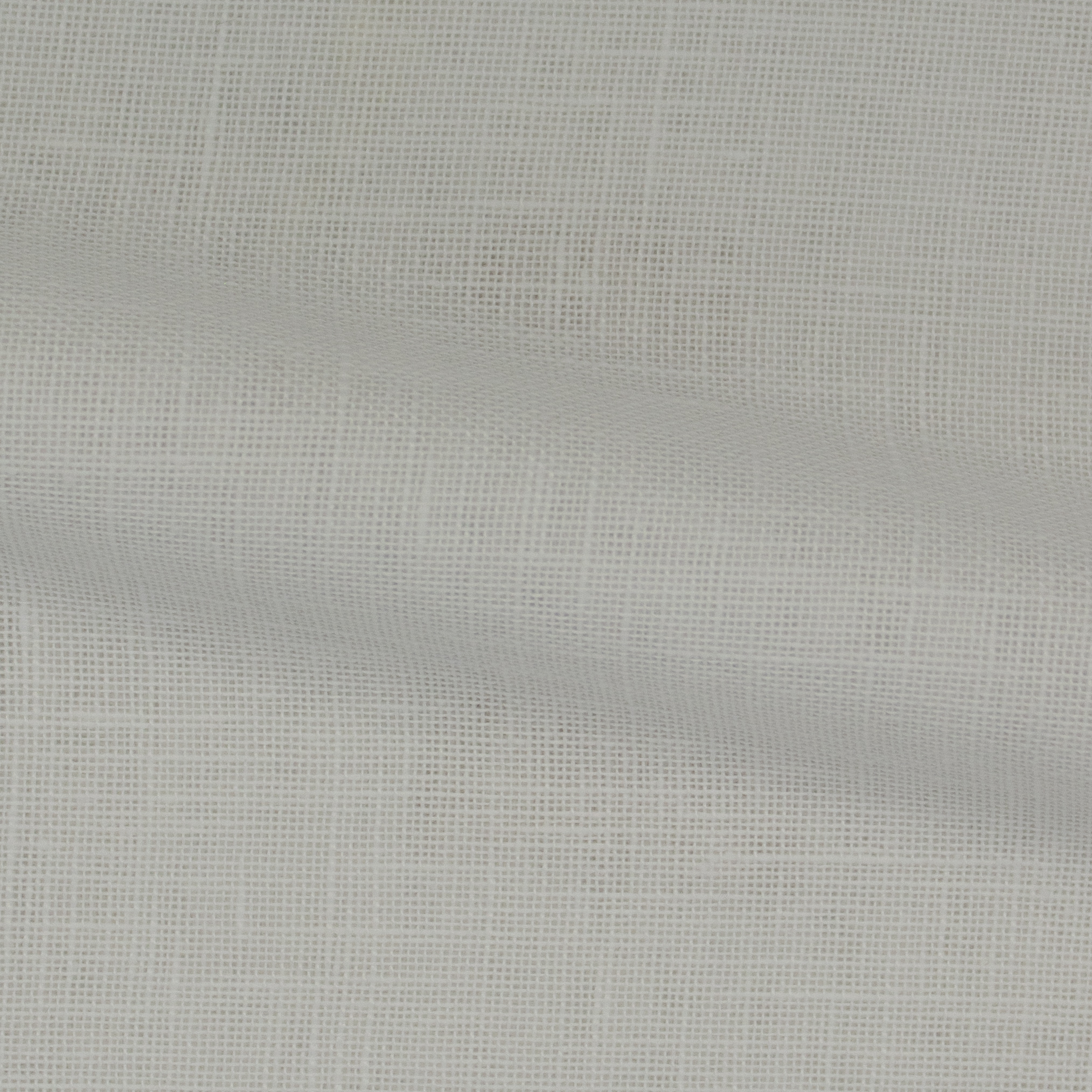 Safari-FR-Ivory-224509