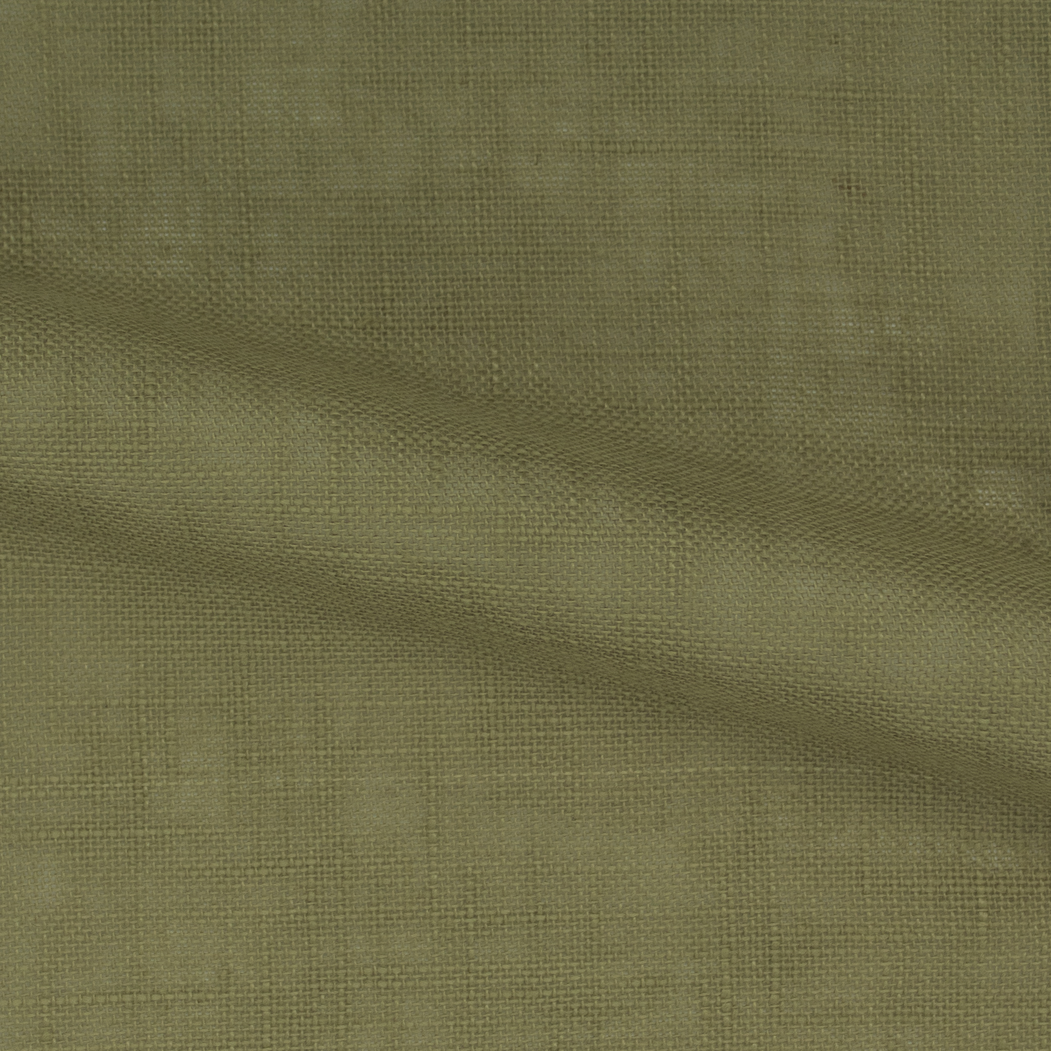 Safari-FR-Mustard-224500