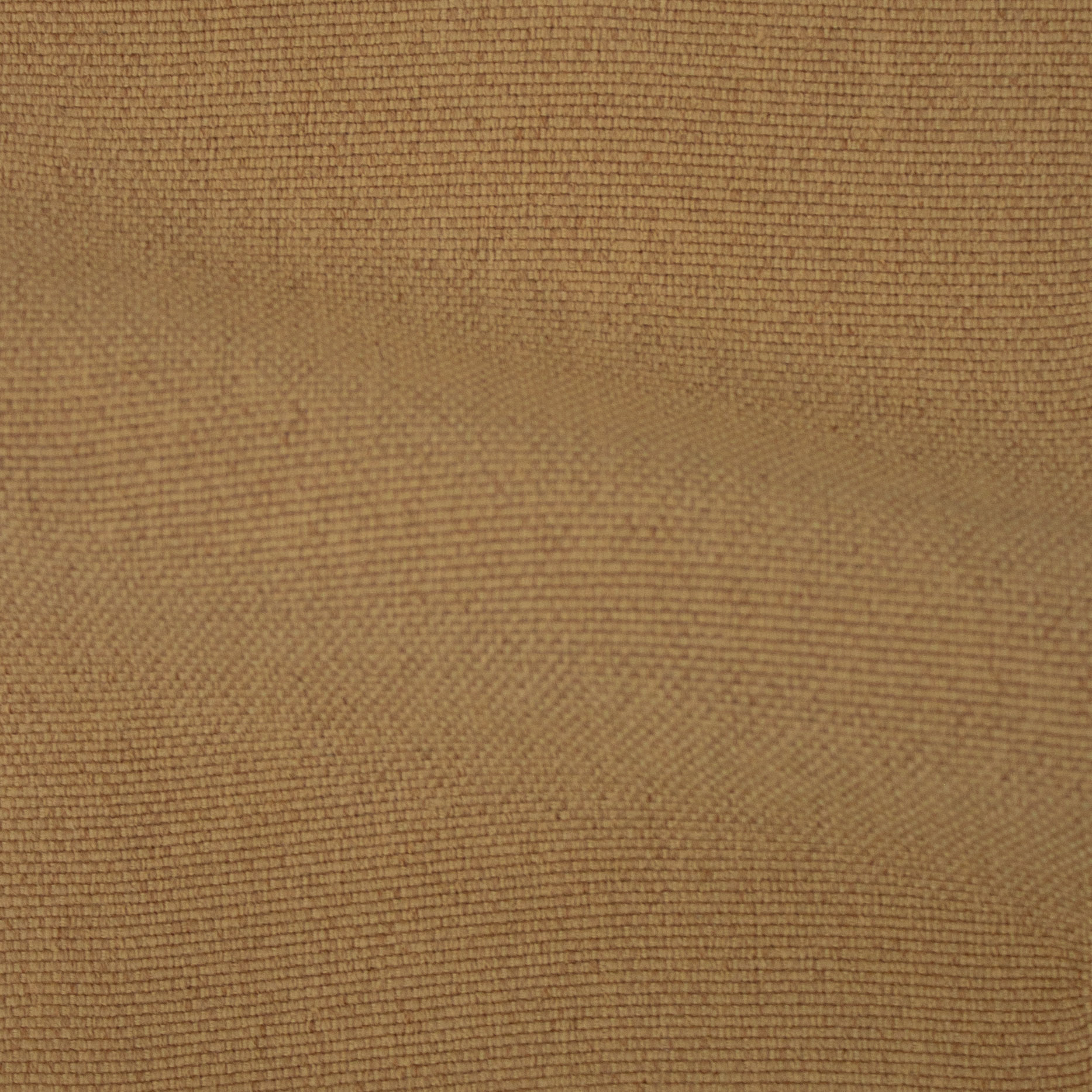 Amuse-Raffia-223354