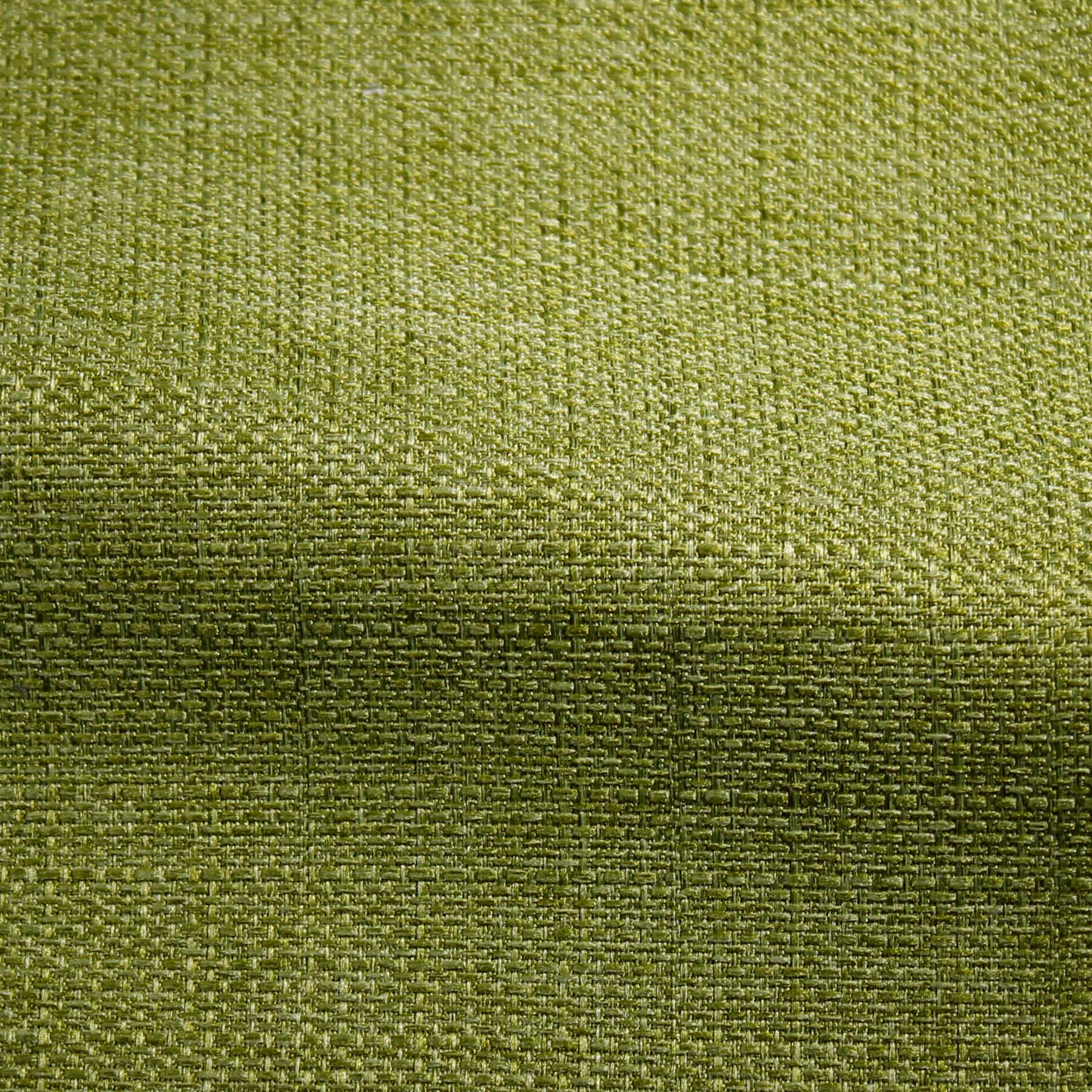 Explore-Moss-220292