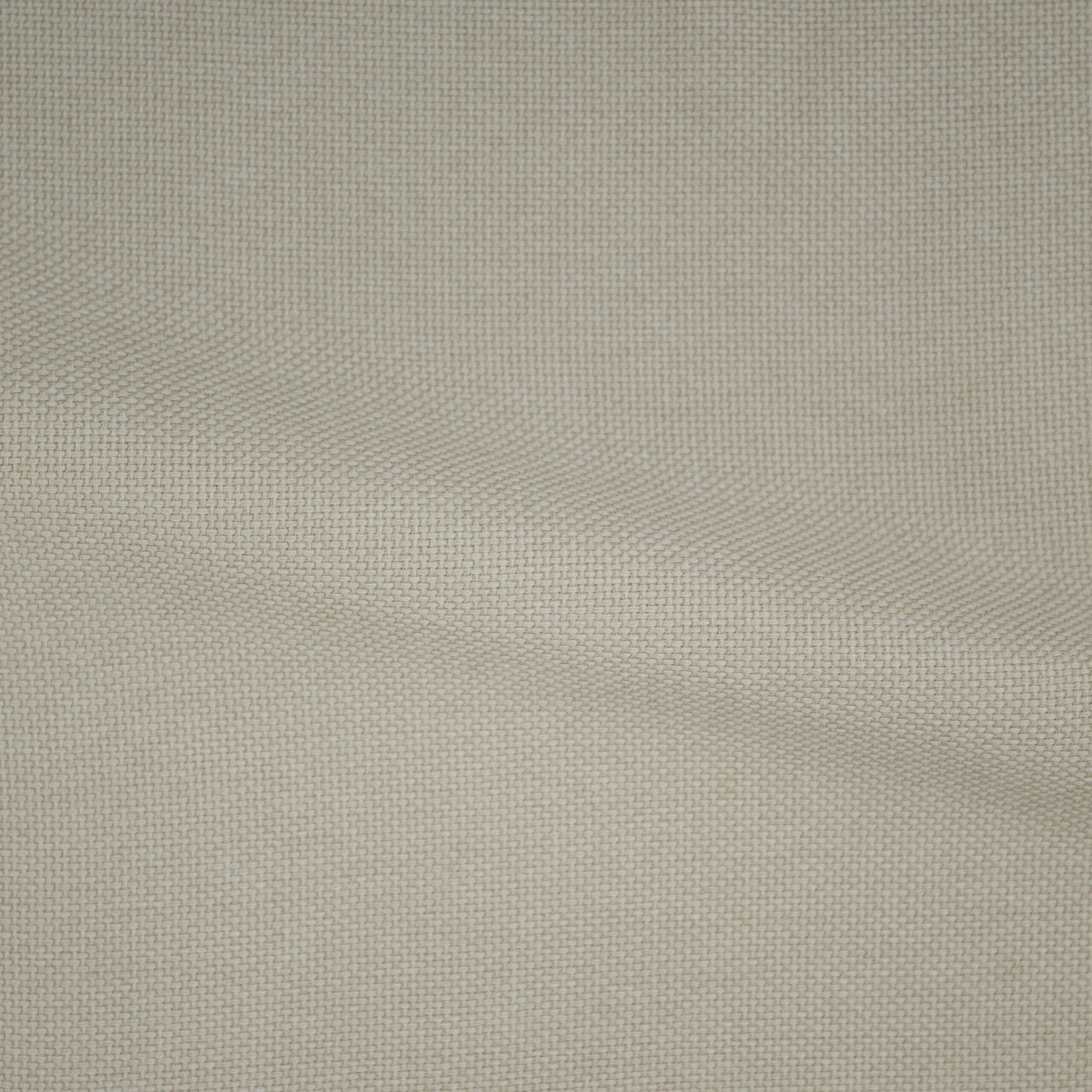 Rebel-FR-Fog-223429