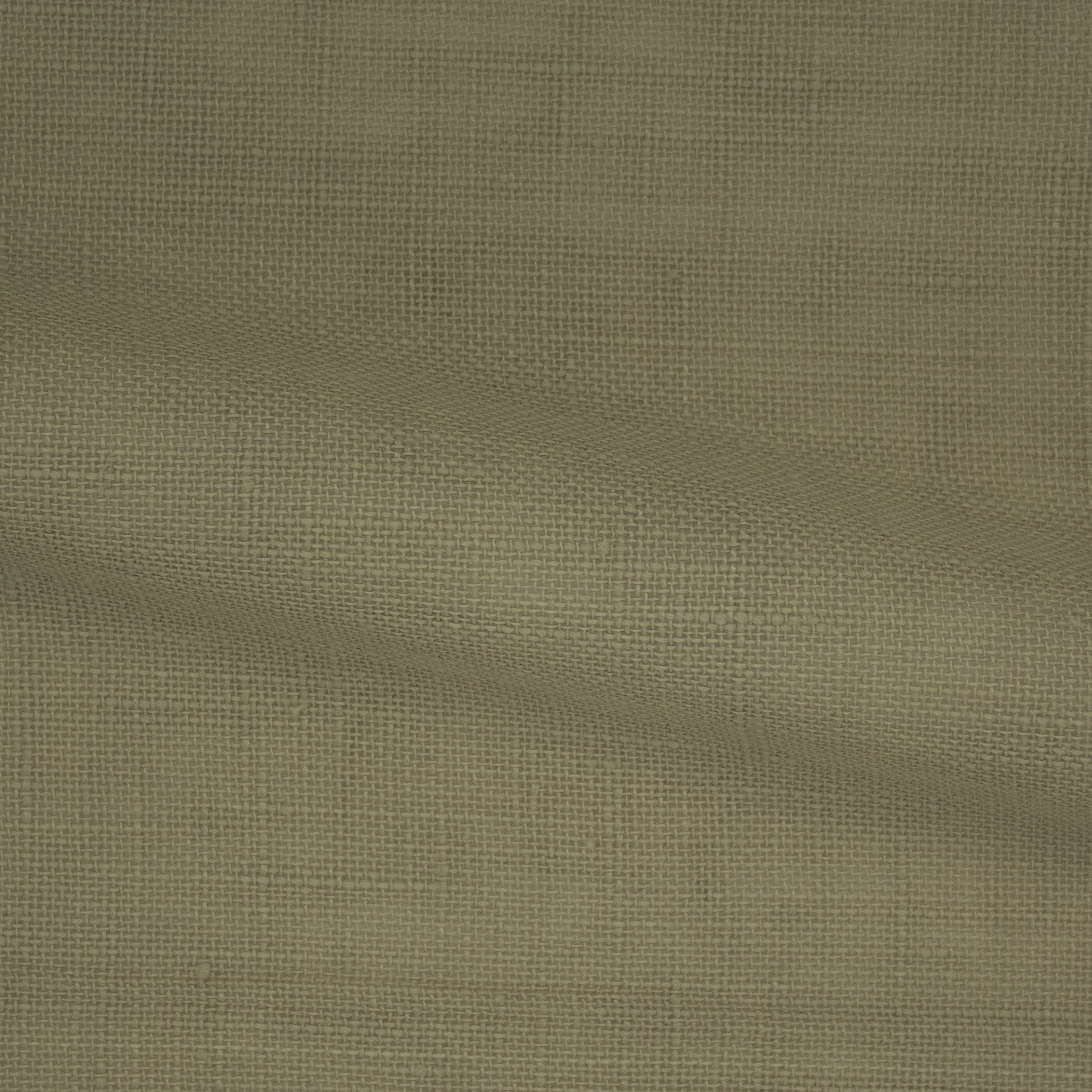 Safari-FR-Almond-224504