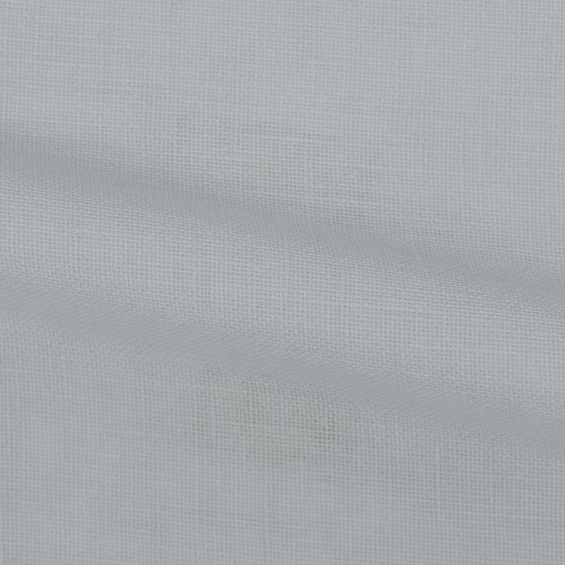 Safari-FR-Fog-224511